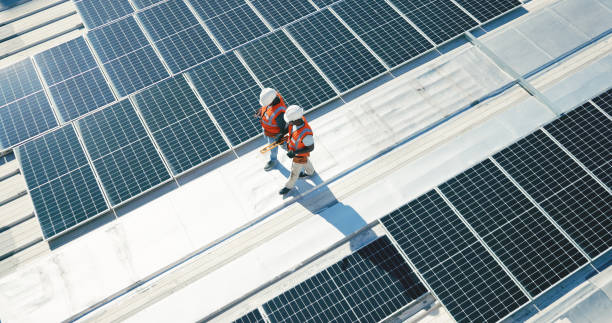 Best Roof Moss and Algae Removal  in Brinkley, AR